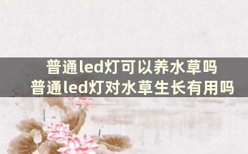 普通led灯可以养水草吗 普通led灯对水草生长有用吗